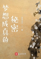 梦想成真的秘密在线阅读