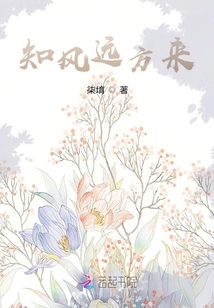 知风远方来