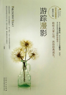游蹤漫影