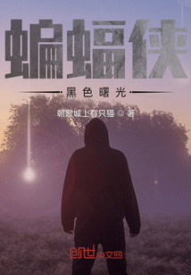 蝙蝠俠：黑色曙光