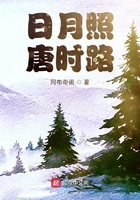 穿越之日月照亮唐时路在线阅读