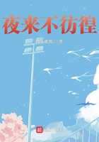 夜來不彷徨前傳在線閱讀