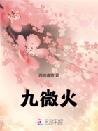 九微火在线阅读