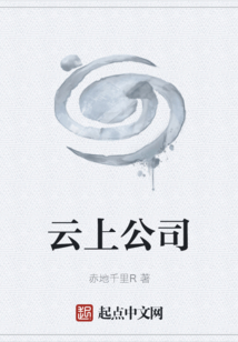 云上公司