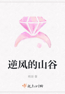 逆風(fēng)的山谷