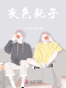 灰色耗子