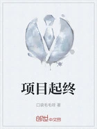 项目起终在线阅读