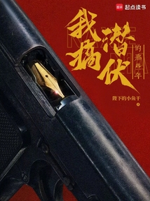 我搞潛伏的那些年