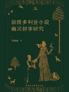 新维多利亚小说幽灵叙事研究在线阅读
