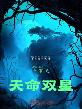 斗罗之:天命双星在线阅读