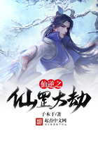 仙逆仙罡大劫篇