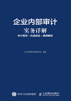 企业内部审计实务详解：审计程序+实战技法+案例解析在线阅读