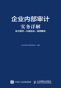 企業(yè)內部審計實務詳解:審計程序+實戰(zhàn)技法+案例解析