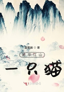 韶華江山一只貓