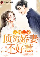 天降三宝:顶流娇妻不好惹