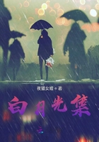 白月光集