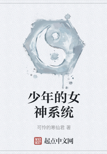 少年的女神系統