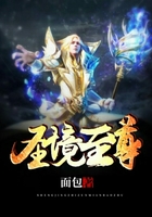 圣境至尊在線閱讀