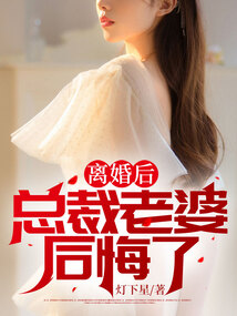 離婚后，總裁老婆后悔了