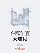 在那年夏天遇見在線閱讀