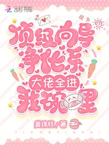 頂級向導凈化系,大佬全進我碗里