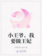 小王爺，我要做王妃在線閱讀
