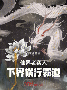 仙界老实人，下界横行霸道在线阅读