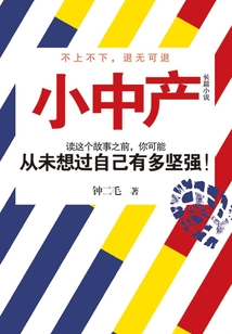 小中产