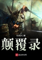 颠覆录