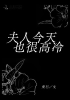 夫人今天也很高冷在線閱讀