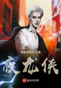 夜龍俠