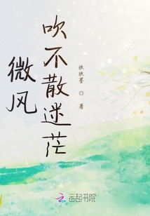 微風吹不散迷茫