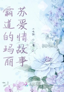 霸道的瑪麗蘇愛情故事