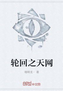 輪回之天網