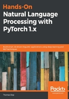 Hands-On Natural Language Processing with PyTorch 1.x在线阅读