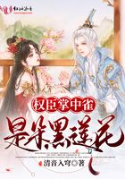 權臣掌中雀是朵黑蓮花在線閱讀