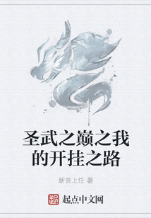 圣武之巔之我的開掛之路