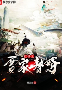 紅樓之賈家贅婿