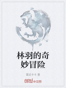 林羽的奇妙冒險