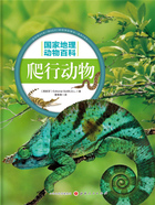 爬行动物(国家地理动物百科)在线阅读