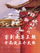穿越到女尊王朝:开局送五位夫郎在线阅读