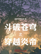斗破苍穹之穿越炎帝在线阅读