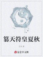 篡天符皇夏秋在线阅读