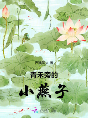 青禾旁的小燕子在线阅读