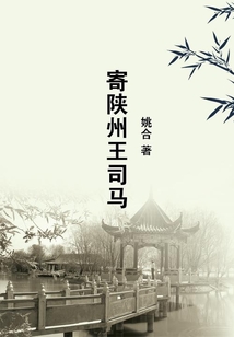 寄陜州王司馬