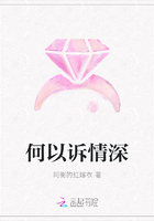 何以訴情深在線閱讀