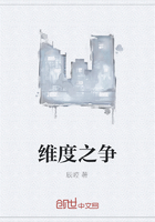 維度之爭在線閱讀