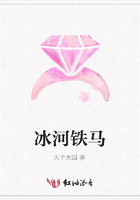 冰河铁马在线阅读