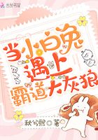 當小白兔遇上霸道大灰狼在線閱讀