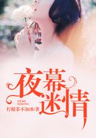 夜幕迷情在線閱讀